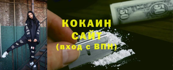 ПСИЛОЦИБИНОВЫЕ ГРИБЫ Бородино