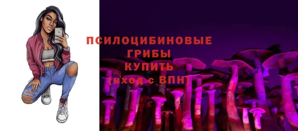 а пвп мука Билибино