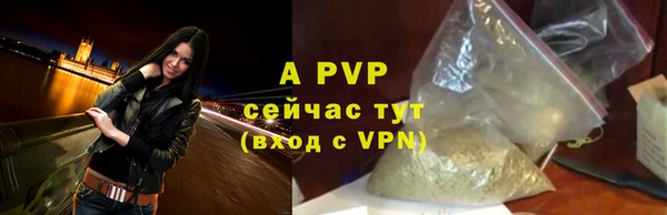 ПСИЛОЦИБИНОВЫЕ ГРИБЫ Бородино