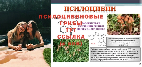 ешки Бикин