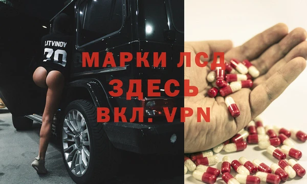 ПСИЛОЦИБИНОВЫЕ ГРИБЫ Бородино