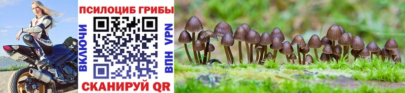 Псилоцибиновые грибы Cubensis  МЕГА онион  Валуйки 