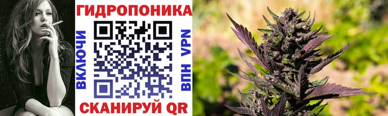 хочу   Валуйки  Бошки марихуана конопля 